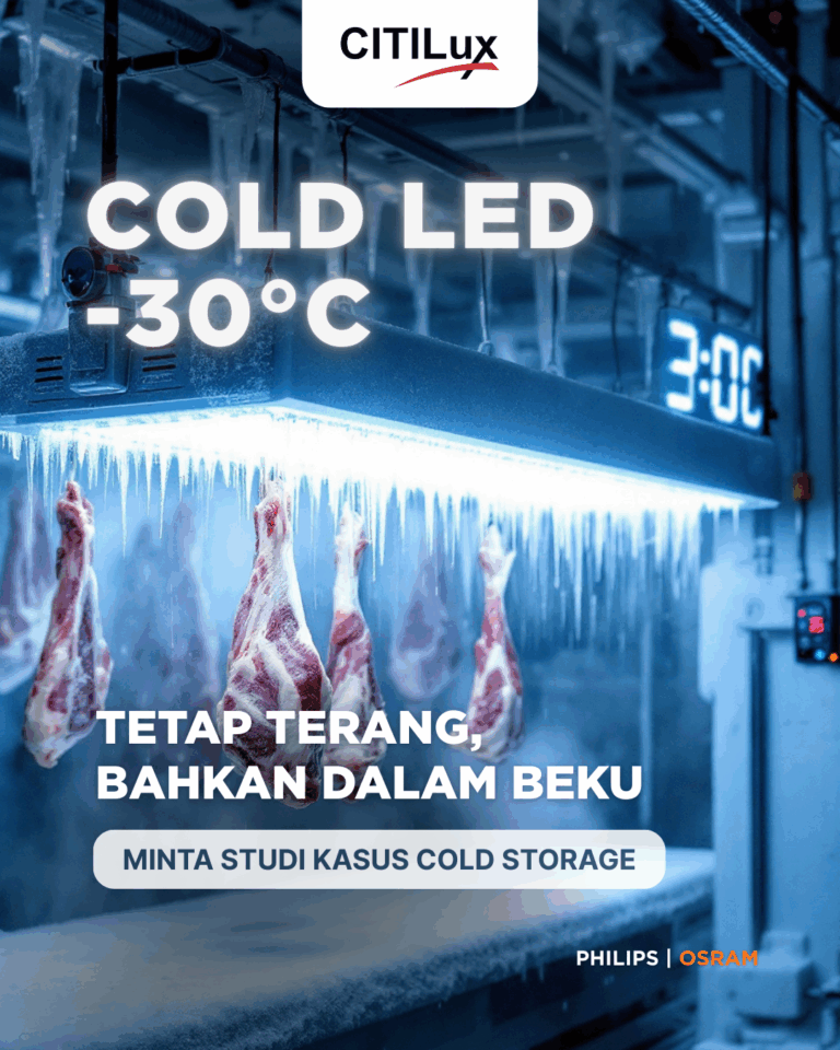 CITILUX - Cold LED (Square Size)